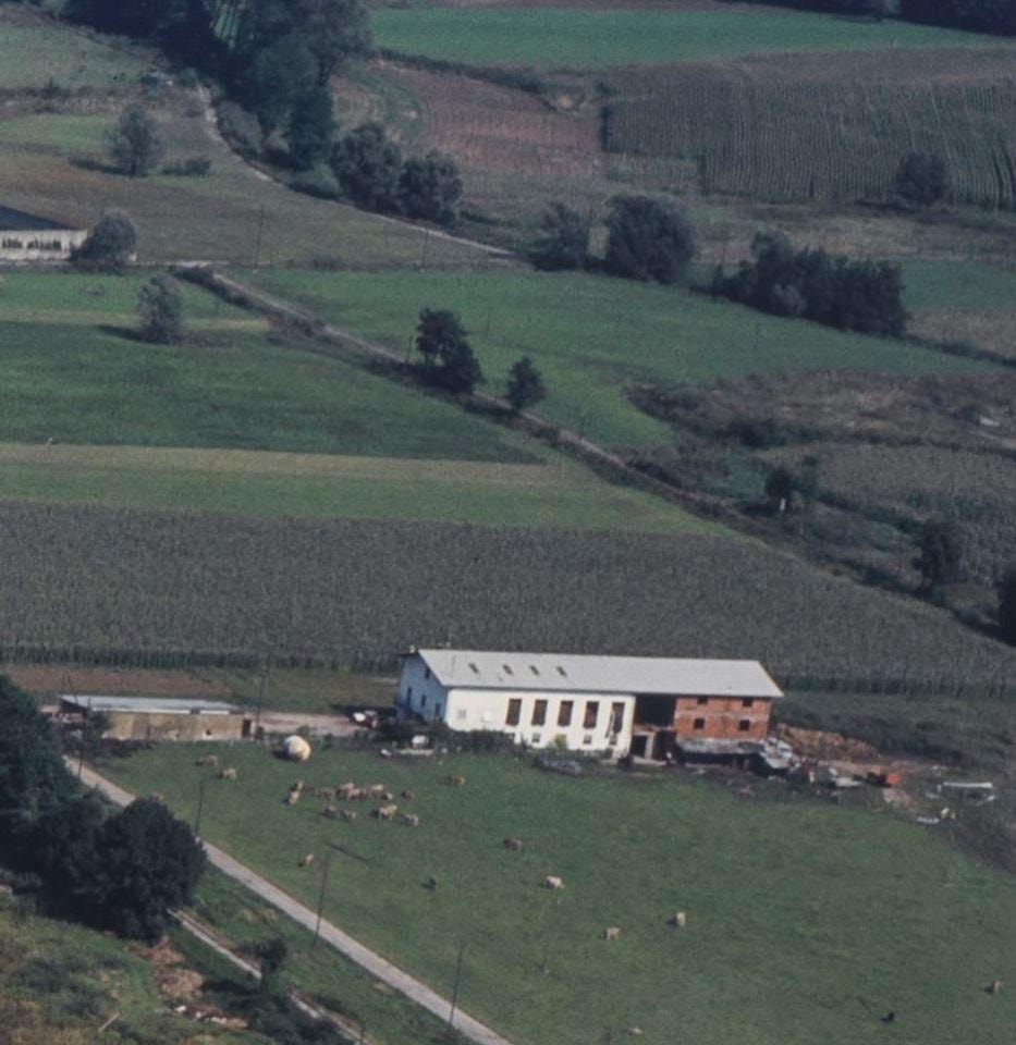 Anni 70 Fattoria Palotti