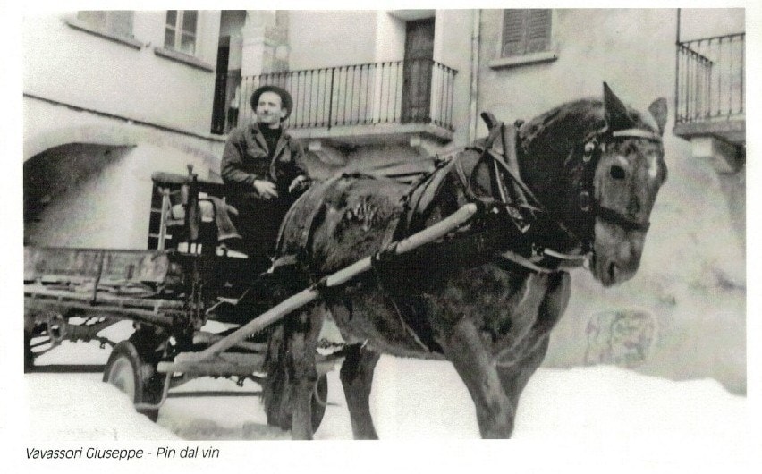 Giuseppe Vavassori, ul Pin dal Vin