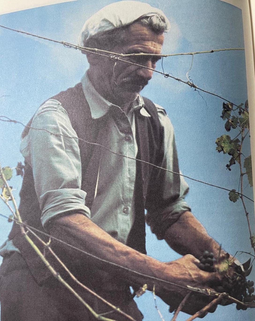 Pietro Castelletti