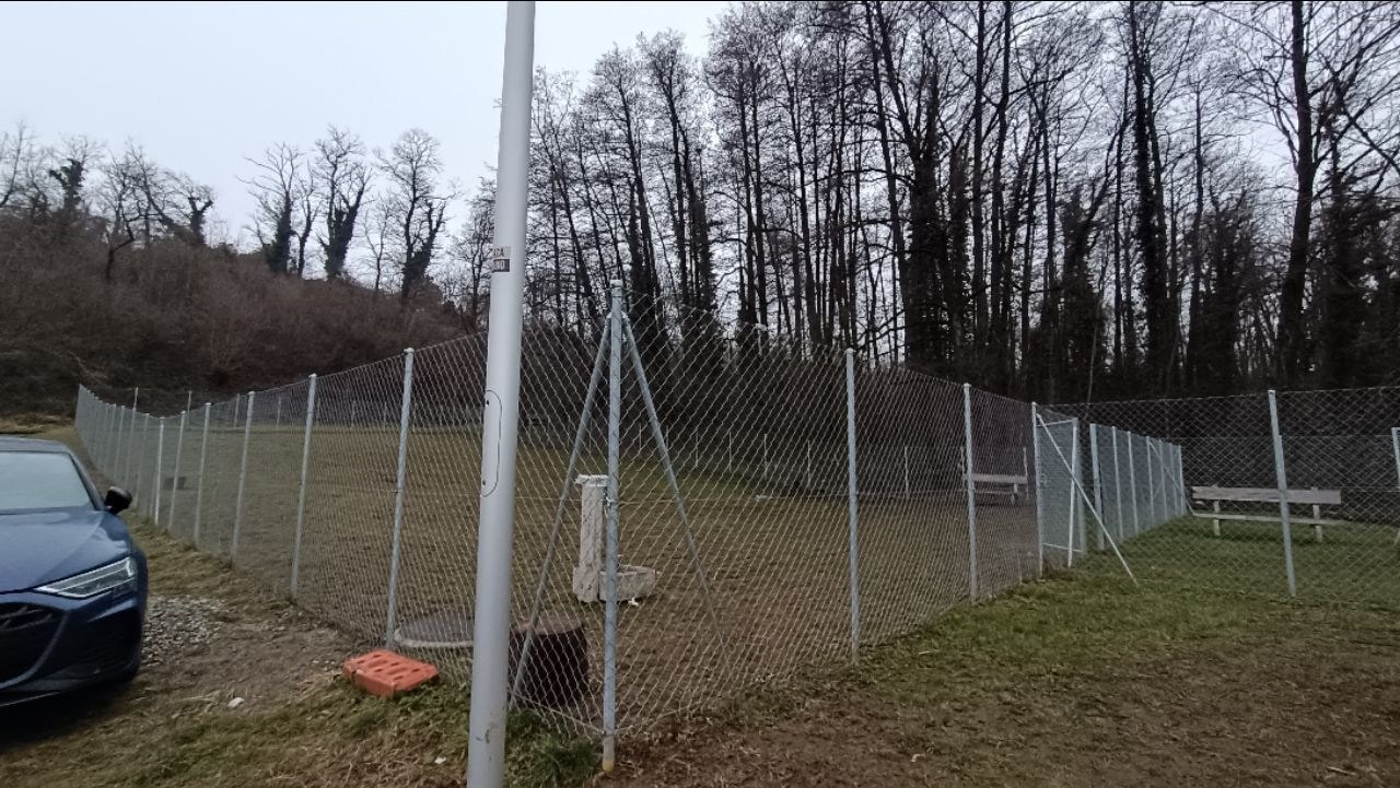Anni 2000 Il Parco dei Cani
