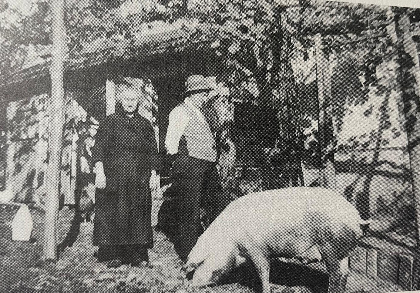 Rusconi dal Murin di San Pietro