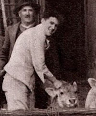 Perucchi Veterinario