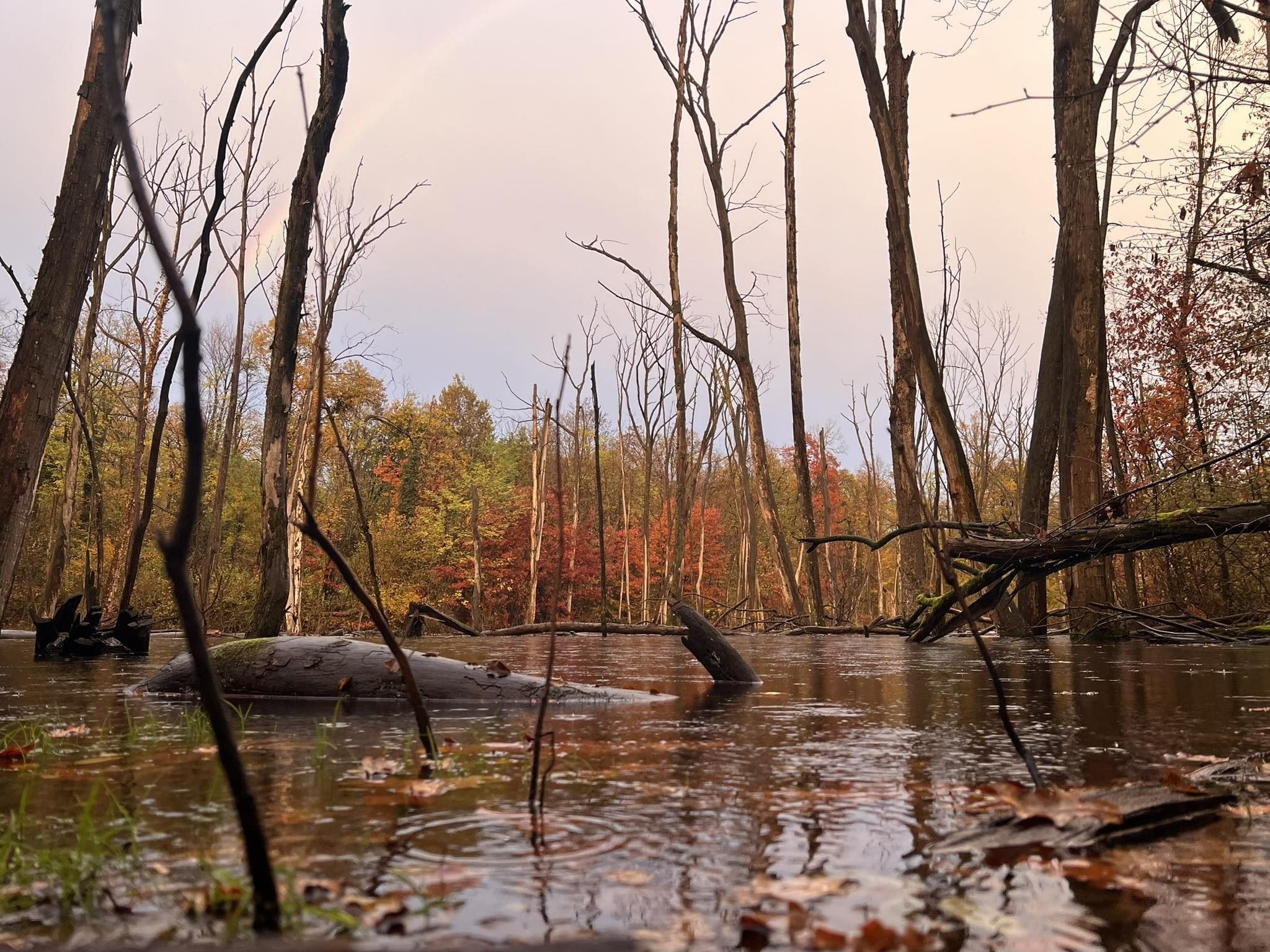 2025 Lago Porcino