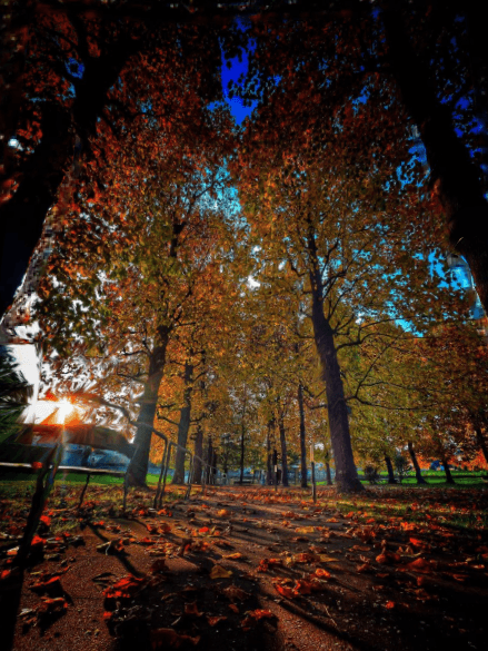 2025 Parco casa anziani