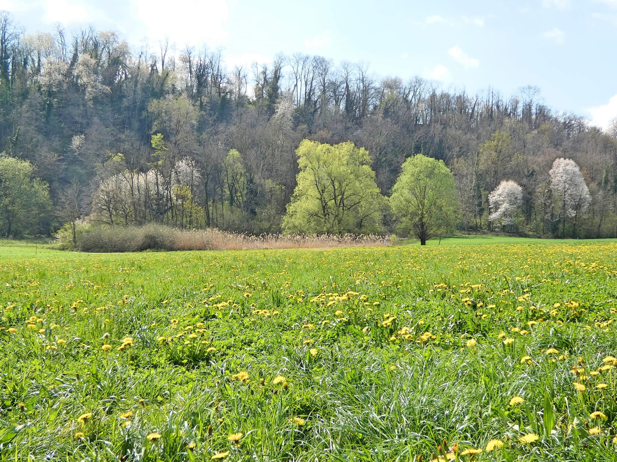 2026 Biotopo