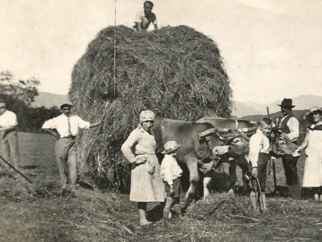 Anni 40-50 Il Fieno