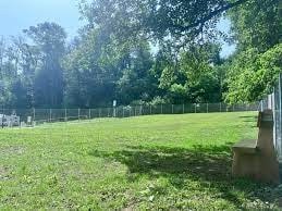 Anni 2000 Il Parco dei Cani