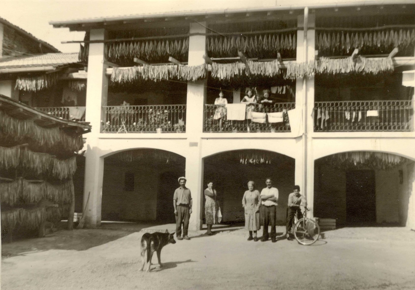 Anni 60 Casa Colonica Castelletti Ida