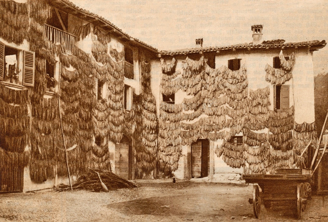Anni 50 Casa agricola