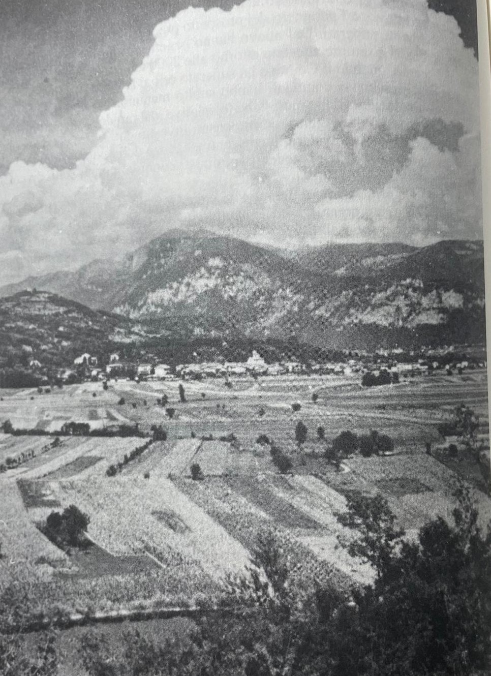 Anni  40