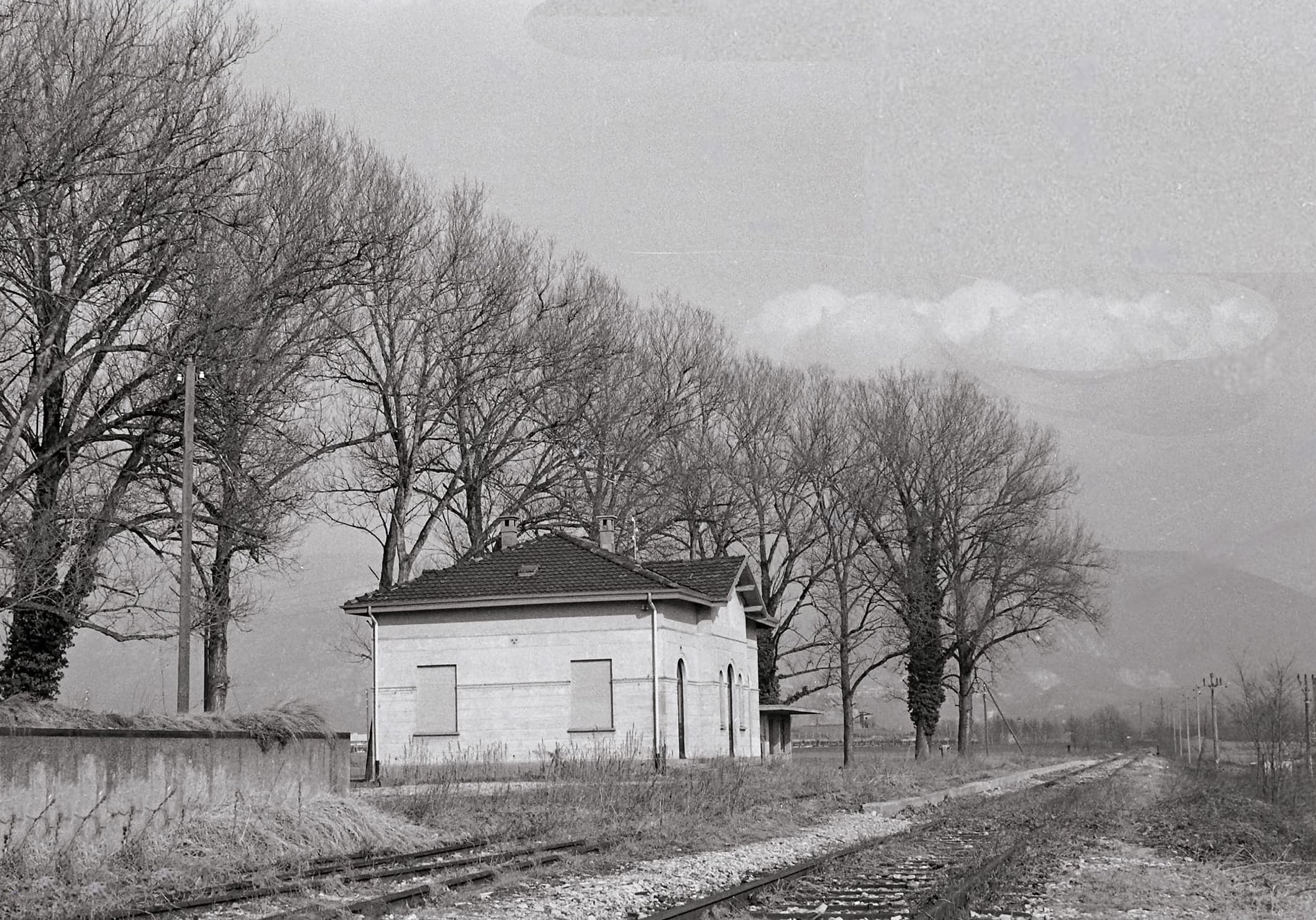 1950