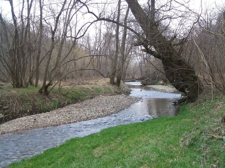 2024 Il Torrente Gaggiolo