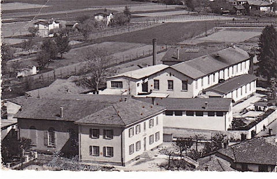 1931