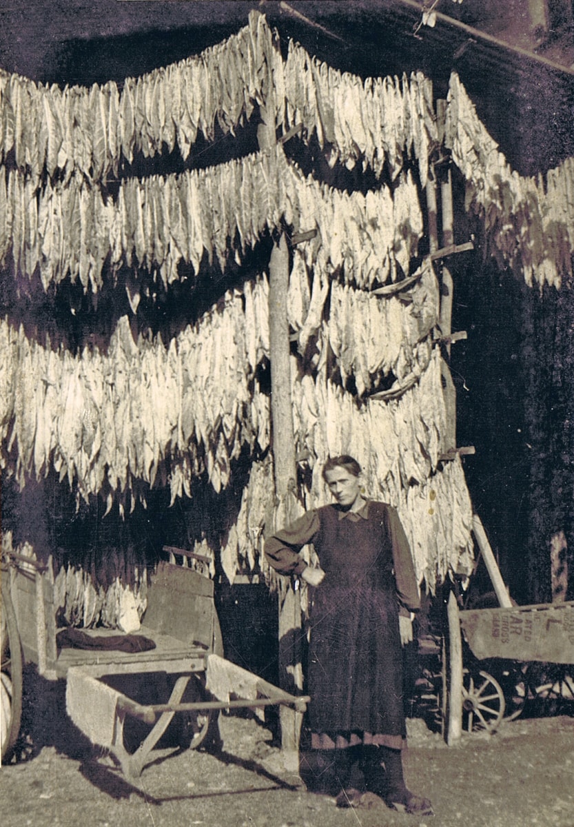 Anni 40