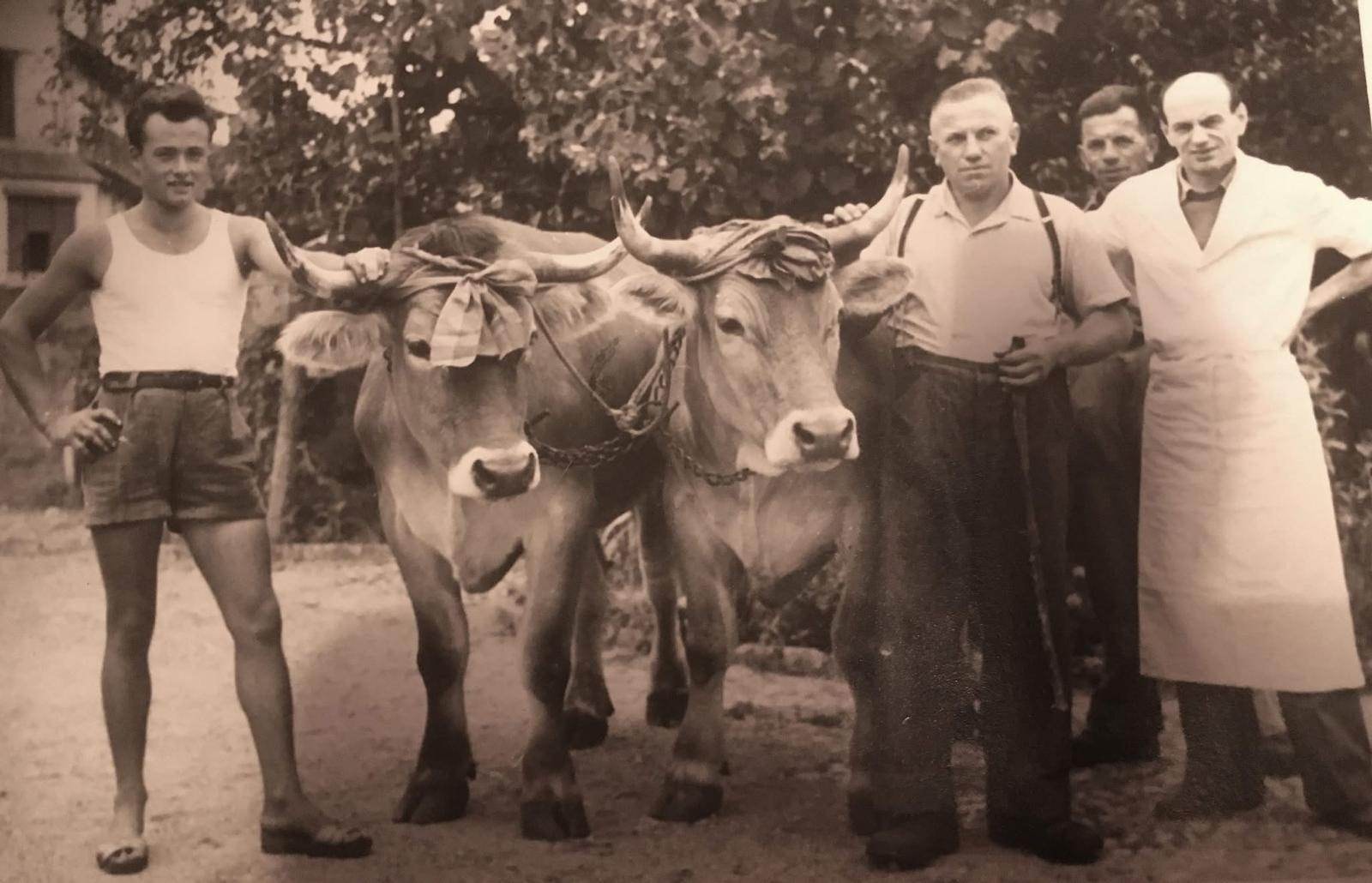 Anni 50