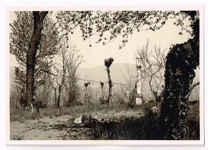 1950