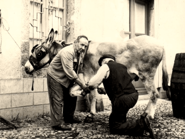Michele e Angelo Manghera, Maniscalchi