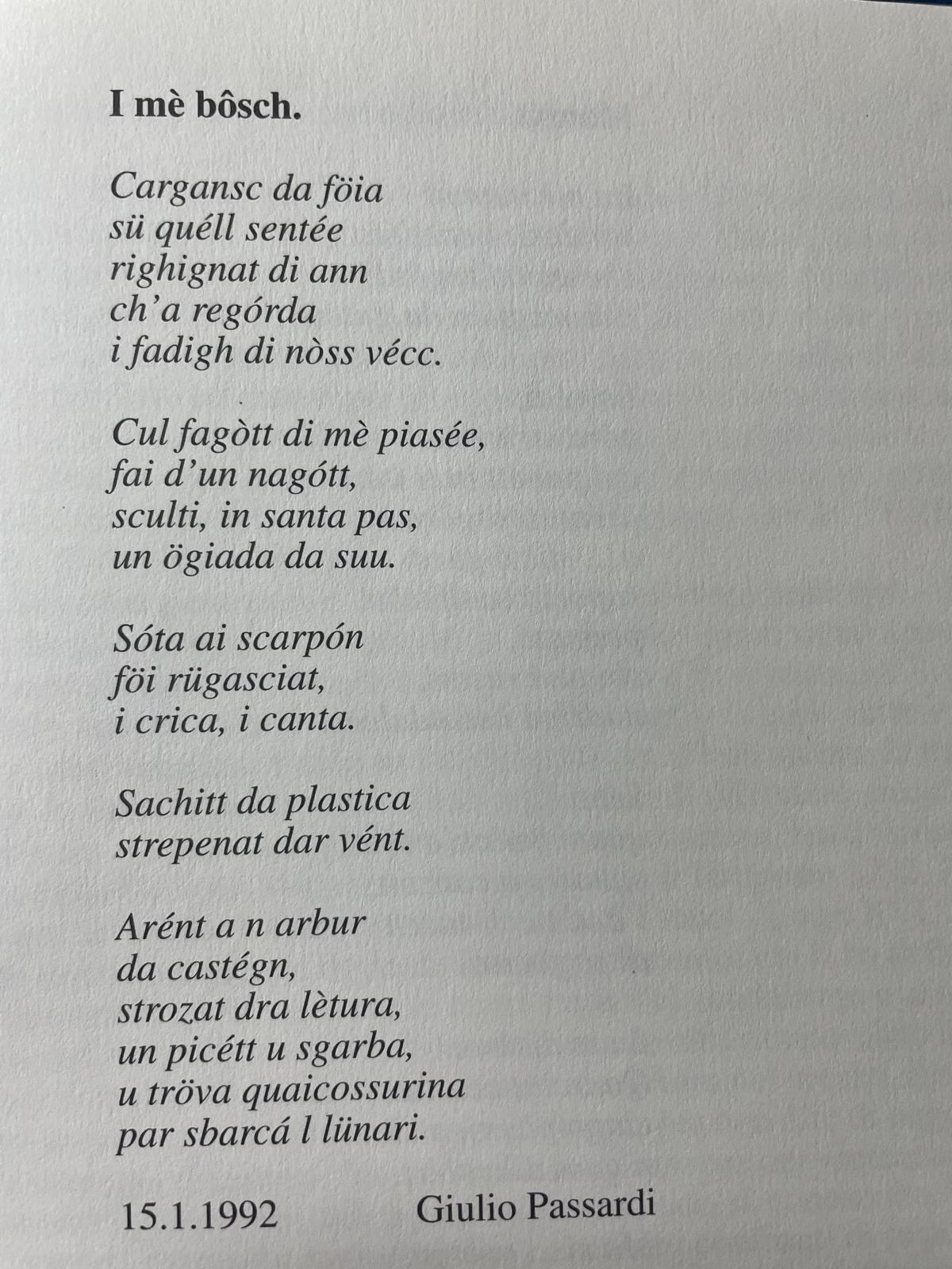 I Me Bosch di Giulio Passardi