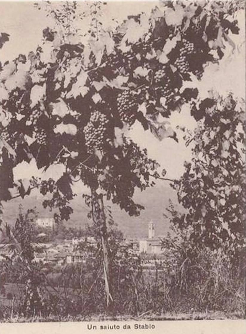 Anni 50