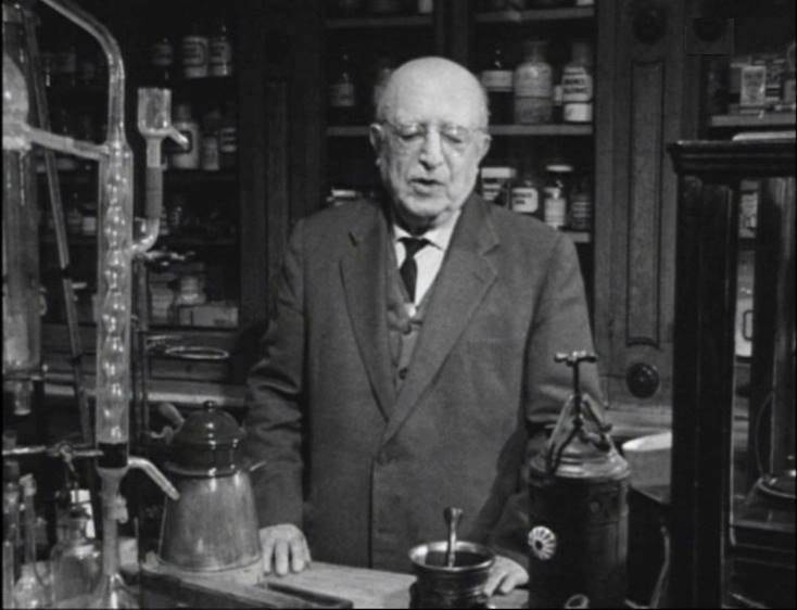 Luigi Pestoni, Farmacista