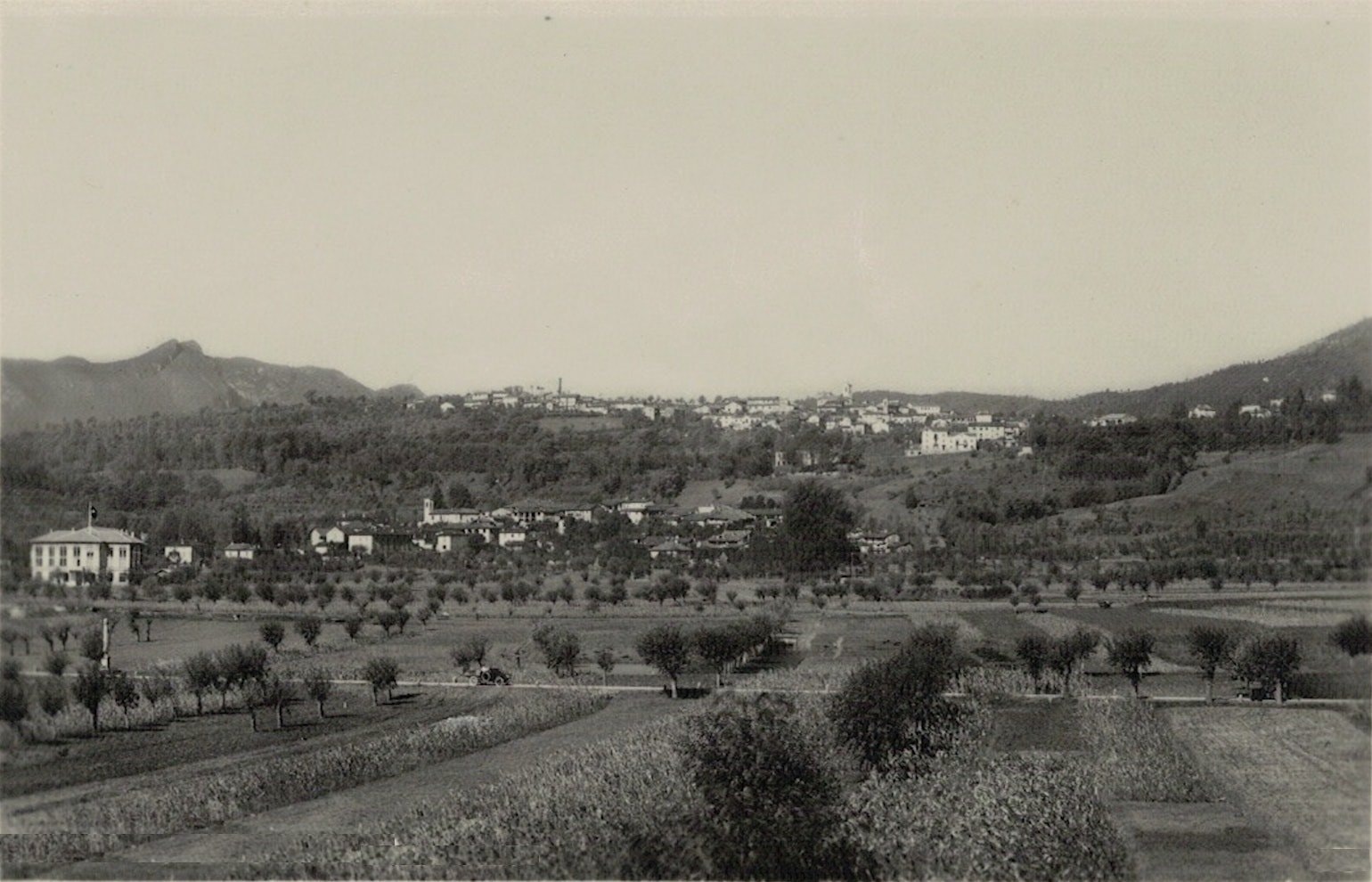 Anni 50