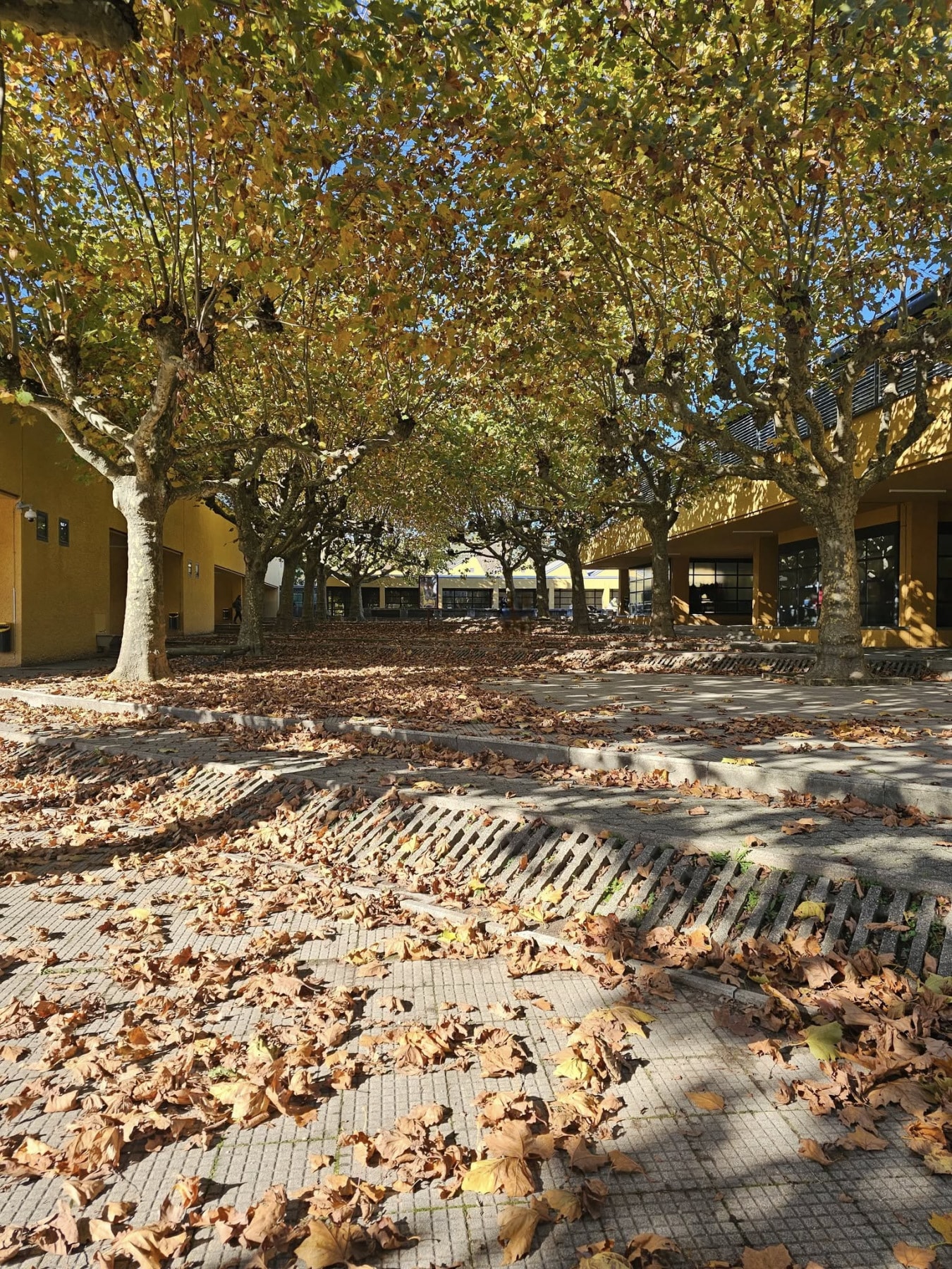 Le Scuole e gli Asili