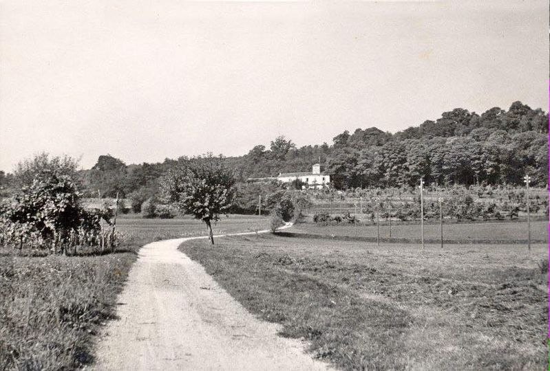 Anni 50-60 Via  Montalbano