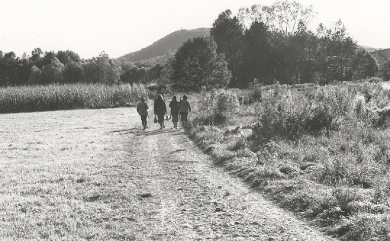 1963