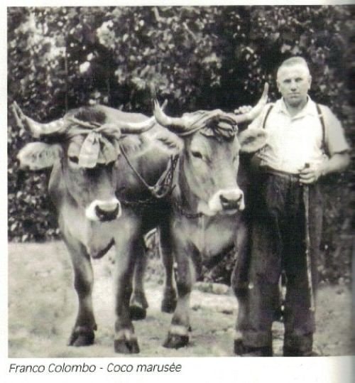 Franco Colombo, ul Coco Marusée