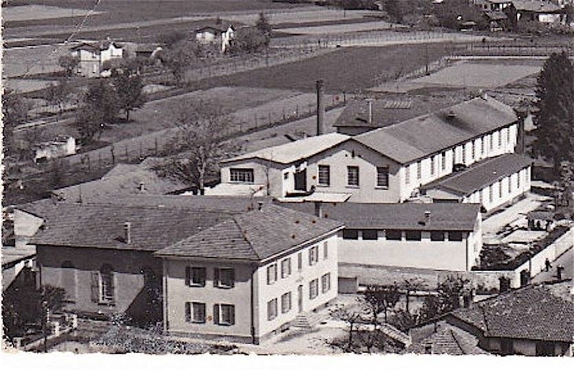 1946-1962, Sacpa, Conceria Pellami e Affini