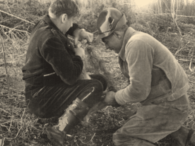 Il veterinario