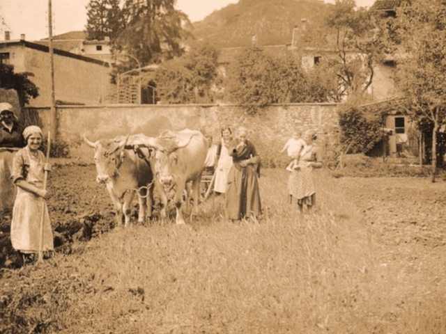 Anni 50
