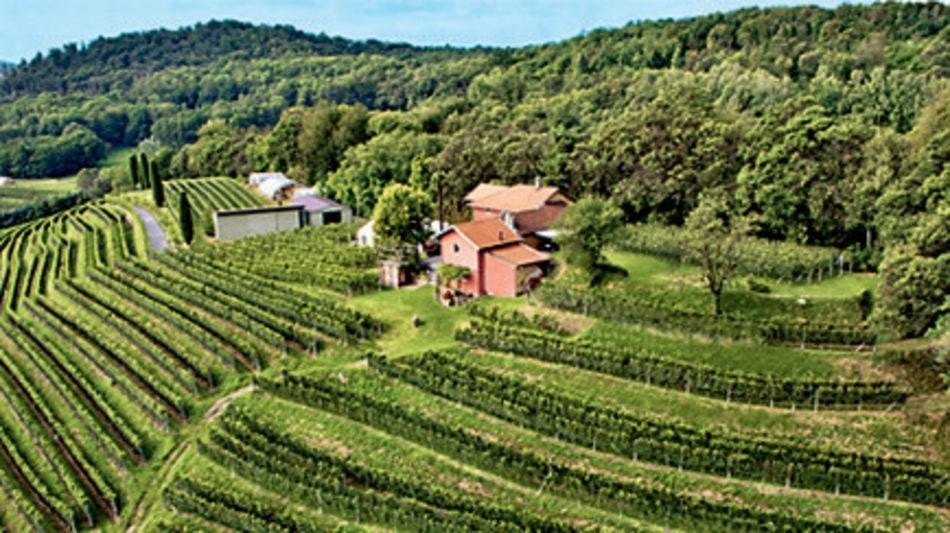Anni 1980-1990 Il Monticello