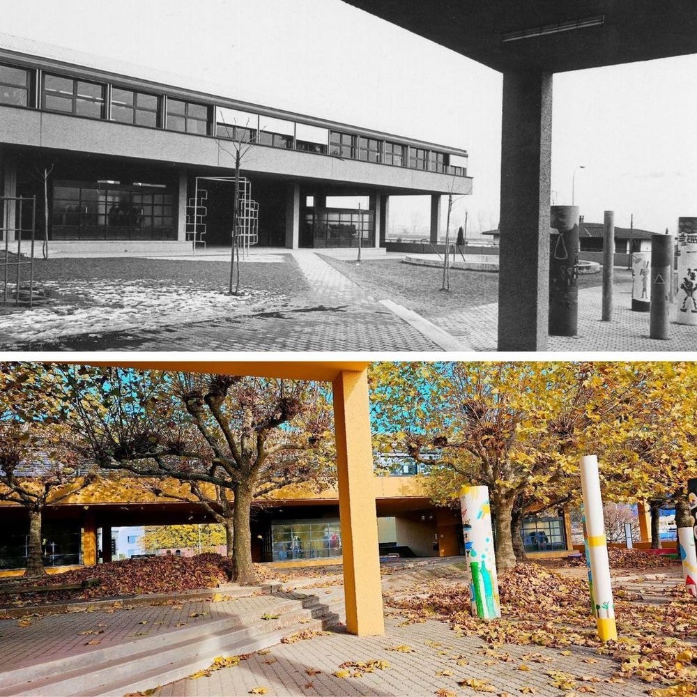 1974 - 2024. Queste due immagini mostrano come il tempo cambia la natura. In cinquant'anni, i piccoli arbusti del passato sono diventati alberi grandi e robusti, che racchiudono cerchio dopo cerchio mezzo secolo di vita invisibile