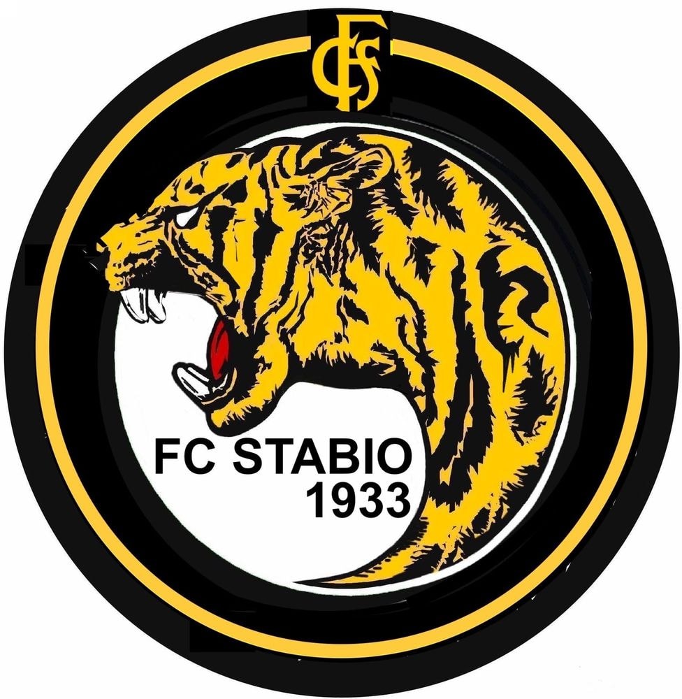 FC STABIO ...QUASI CENTO ANNI La nascita del FC Stabio risale al 1933, quando un'assemblea di circa quaranta appassionati diede ufficialmente vita al club. I dirigenti eletti si misero al lavoro la sera stessa, delineando subito l'organigramma: Remigio Realini alla presidenza, affiancato dai membri Basilio Scacchi, Emilio Camponovo, Michele Ceppi e Diego Zoppi. La commissione sportiva venne invece affidata a Elio Gobbi, Giovanni Pellegrini, Luigi Ceppi (nel ruolo di allenatore) e al capitano Bruno Crivelli. Qualche mese più tardi, tuttavia, il presidente Realini fu costretto a rassegnare a malincuore le proprie dimissioni per trasferirsi fuori paese per motivi di studio