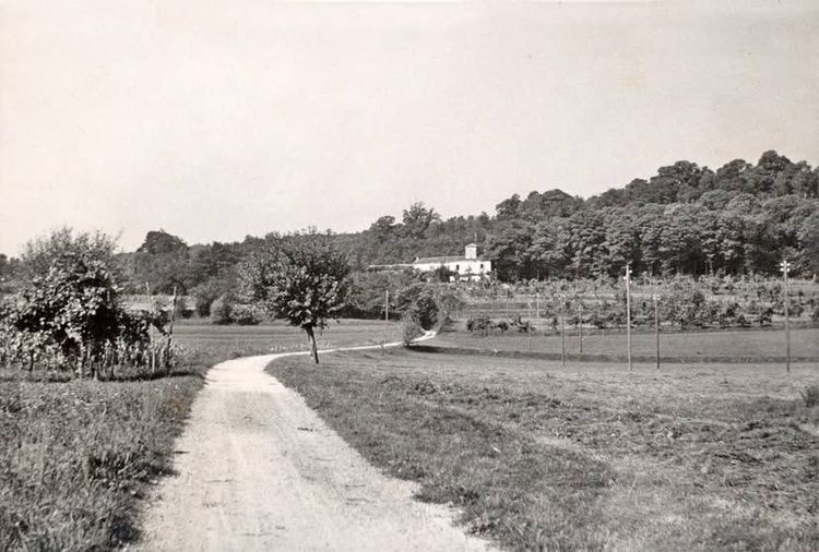 Anni 40, Via Montalbano.  I reperti archeologici e il nome stesso di Stabio certificano le sue profonde radici romane. Per onorare questa gloriosa storia, sia le strade principali del borgo (Via Giulia, Via Ufentina e Via Cesarea) sia le colline circostanti (Montalbano e Monte Asturo) richiamano esplicitamente quell'epoca.