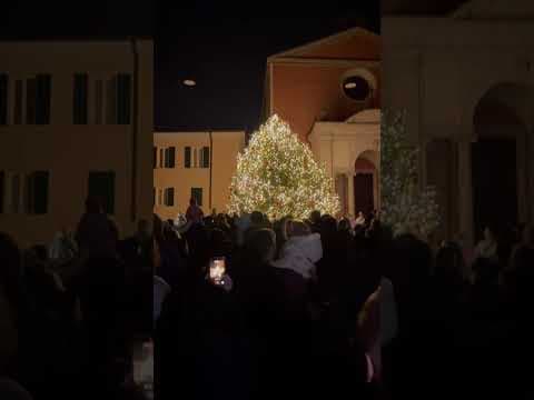 Anteprima di 08.12.2025 Accensione dell' Albero di Natale in Piazza
