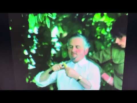 Anteprima di 1976, Le Tre Crocette