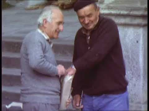 Anteprima di 1982, Trasporto della Madonna di Caravaggio