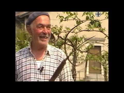 Anteprima di 1992 Il Quotidiano a Stabio, Parte 5