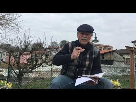 Anteprima di Le Leggende di Stabio, Il Libro