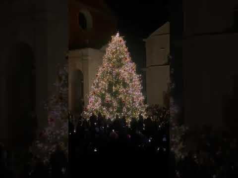 Anteprima di 08.12.2024, Accensione Albero di Natale: di Marika Rossi
