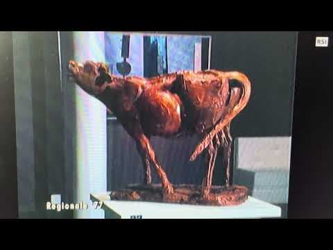 Anteprima di Aprile 1977, Il Centro Internazionale d'Arte