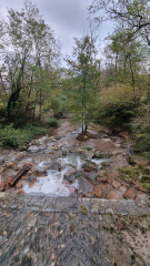 Anni 2000 Il Torrente Gaggiolo (Lanza)