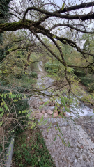 Anni 2000 Il Torrente Gaggiolo (Lanza)