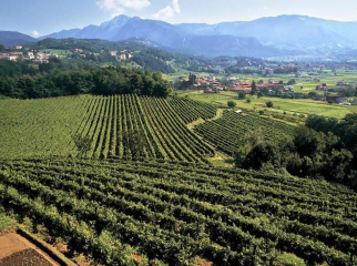 Anni 2000 La Tenuta Montalbano