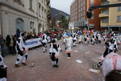 2014 Va cche Forza ul Lacc CH