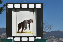 2018 L' evuluziun la ciapàa na brüta piega da homo sapiens a homo natels