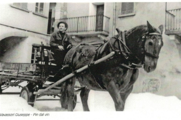 Giuseppe Vavassori, ul Pin dal Vin