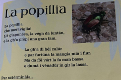 2025 Il Giornalino 5